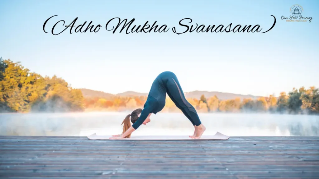Downward Dog (Adho Mukha Svanasana)