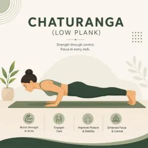 Chaturanga (Low Plank)